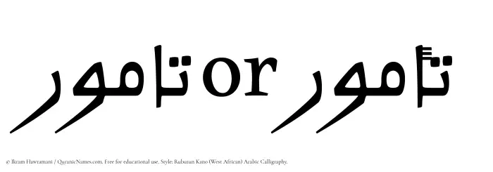 The Muslim name Tamur written in Rubutun Kano calligraphic script