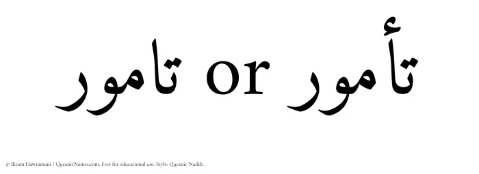 The Muslim name Tamur written in Quranic naskh script