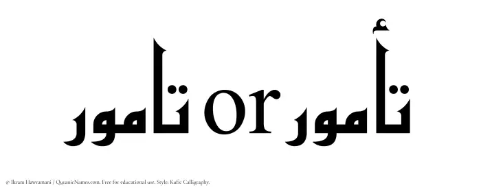 The Muslim name Tamur written in Kufi/Kufic calligraphic script
