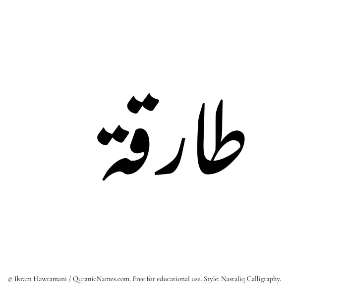 The Muslim name word Tariqa (Tareqah) written in Nastaliq calligraphic script