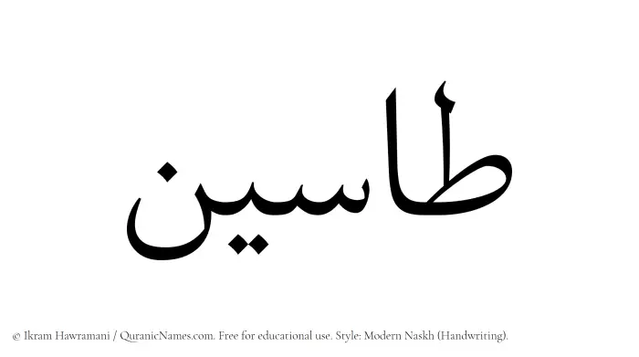 The Muslim name Taseen written in naskh script