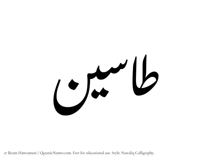 The Muslim name word Taseen written in Nastaliq calligraphic script