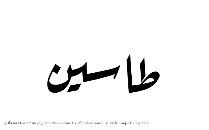 The Muslim name Taseen written in Ruqaa calligraphic script