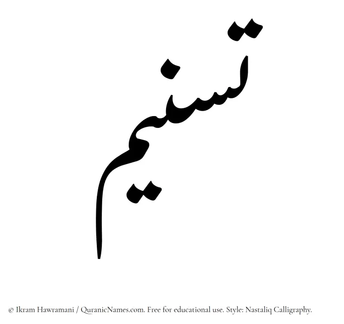 The Muslim name word Tasneem written in Nastaliq calligraphic script