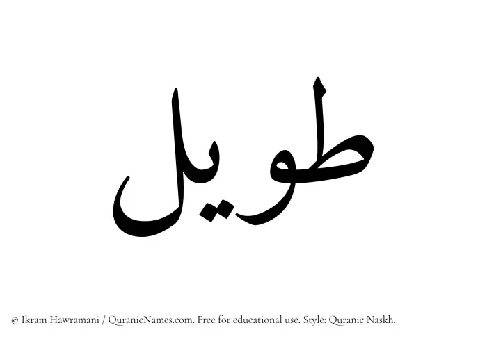 The Muslim name Taweel written in Quranic naskh script