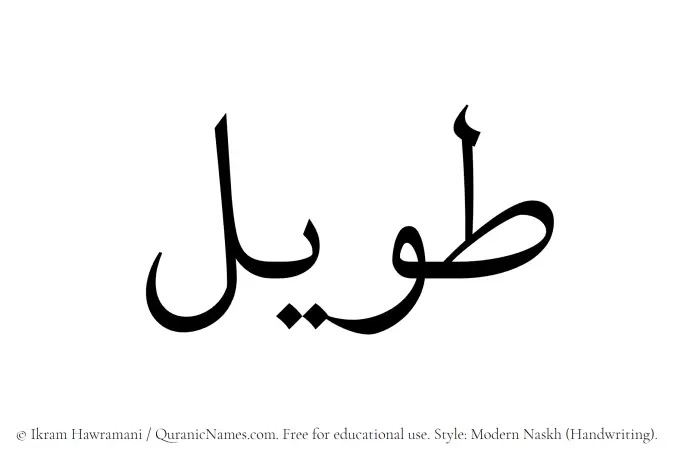 The Muslim name Taweel written in naskh script