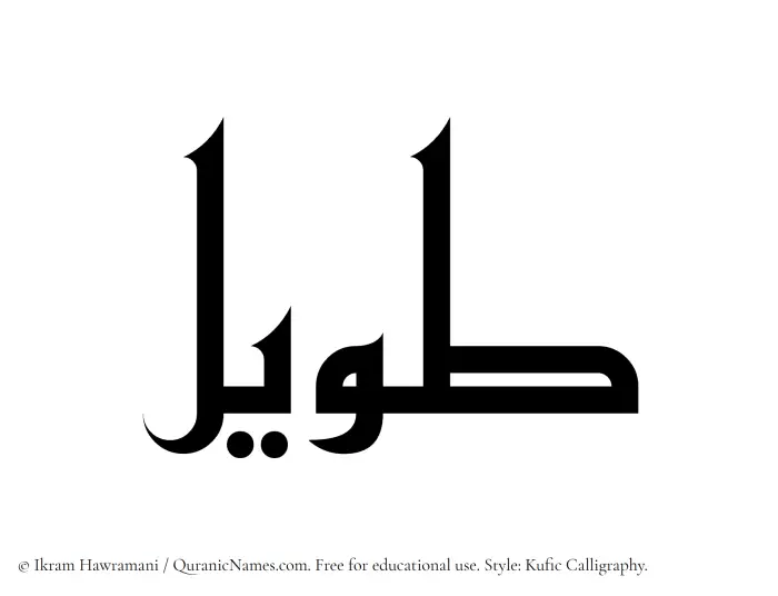 The Muslim name Taweel written in Kufi/Kufic calligraphic script
