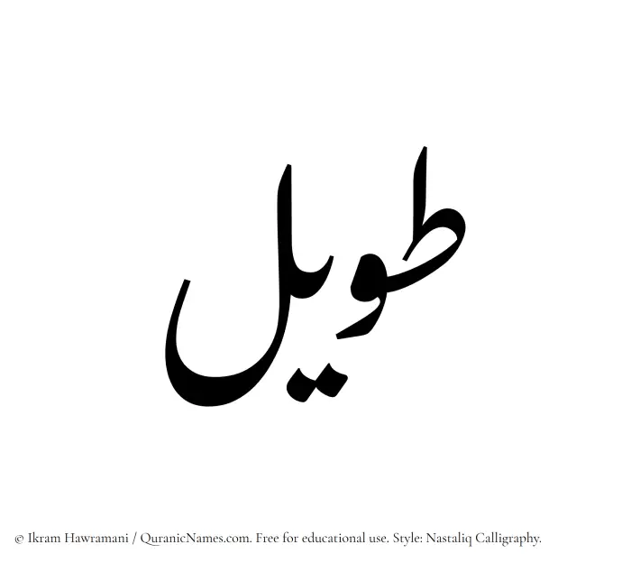 The Muslim name word Taweel written in Nastaliq calligraphic script