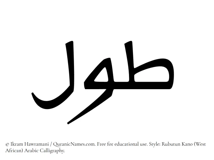The Muslim name Tawl written in Rubutun Kano calligraphic script