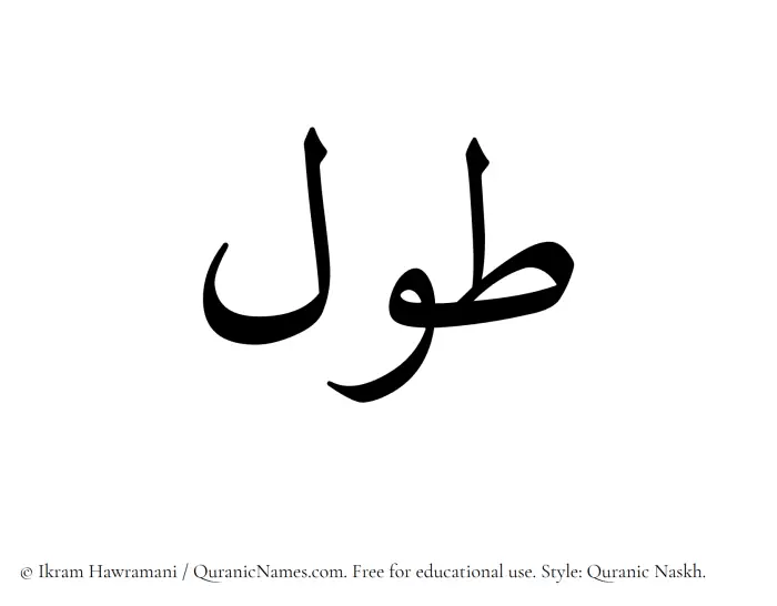 The Muslim name Tawl written in Quranic naskh script