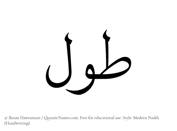 The Muslim name Tawl written in naskh script