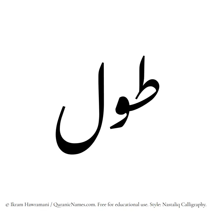 The Muslim name word Tawl written in Nastaliq calligraphic script