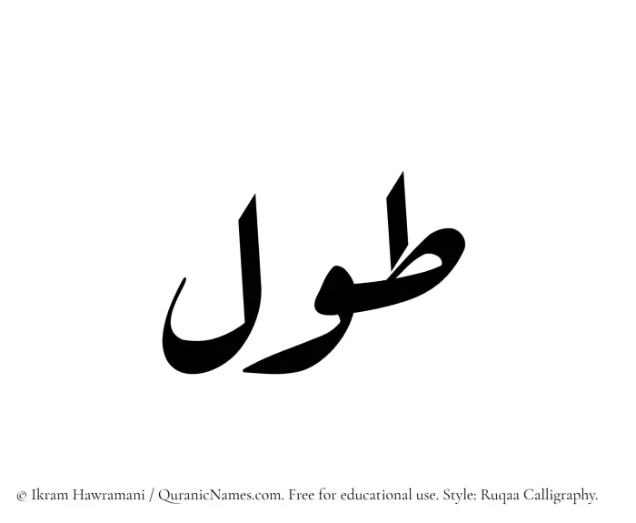 The Muslim name Tawl written in Ruqaa calligraphic script