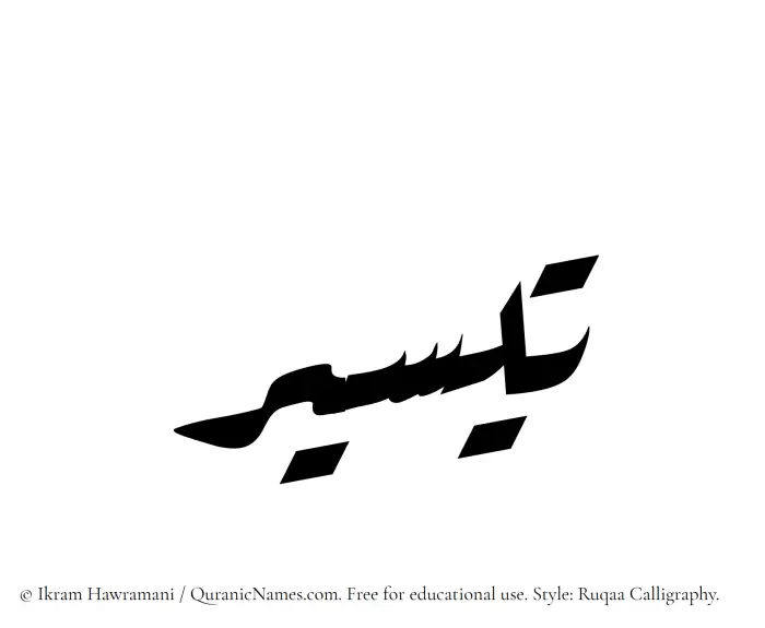 The Muslim name Taysir written in Ruqaa calligraphic script