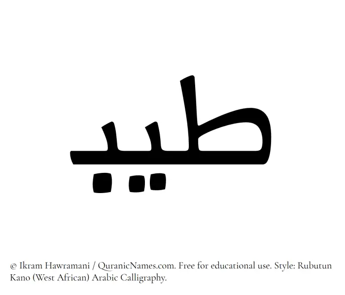 The Muslim name Tayyib written in Rubutun Kano calligraphic script