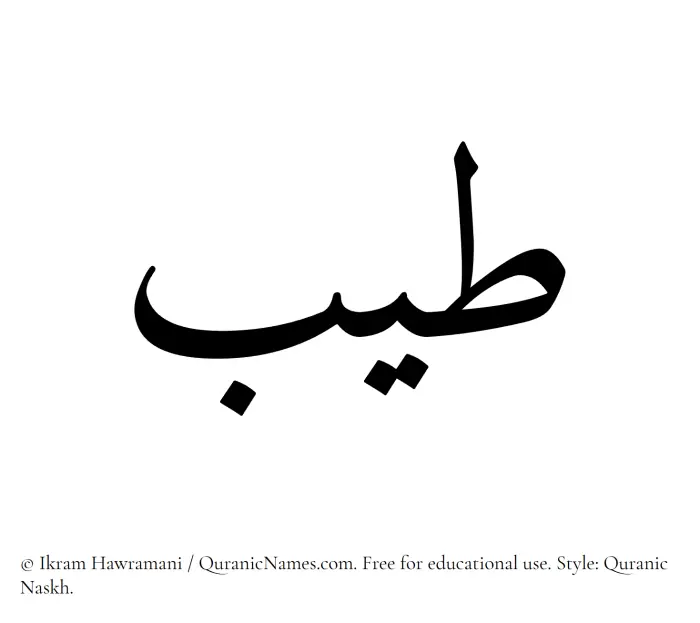The Muslim name Tayyib written in Quranic naskh script