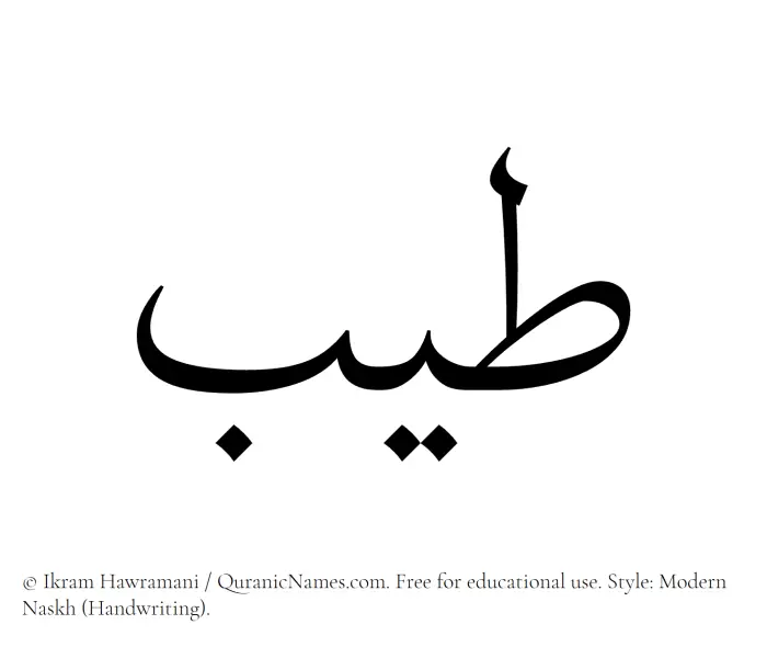 The Muslim name Tayyib written in naskh script