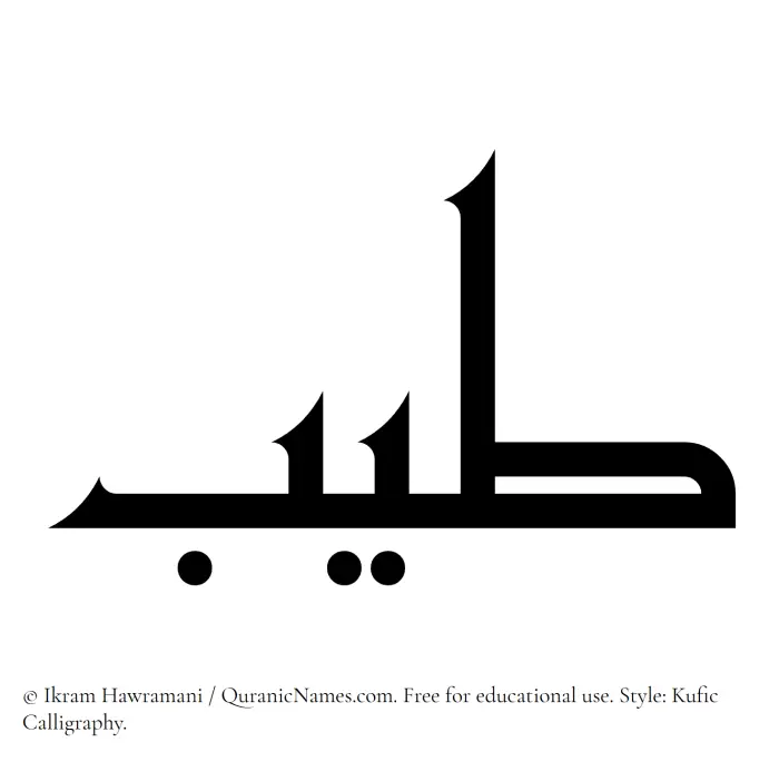 The Muslim name Tayyib written in Kufi/Kufic calligraphic script