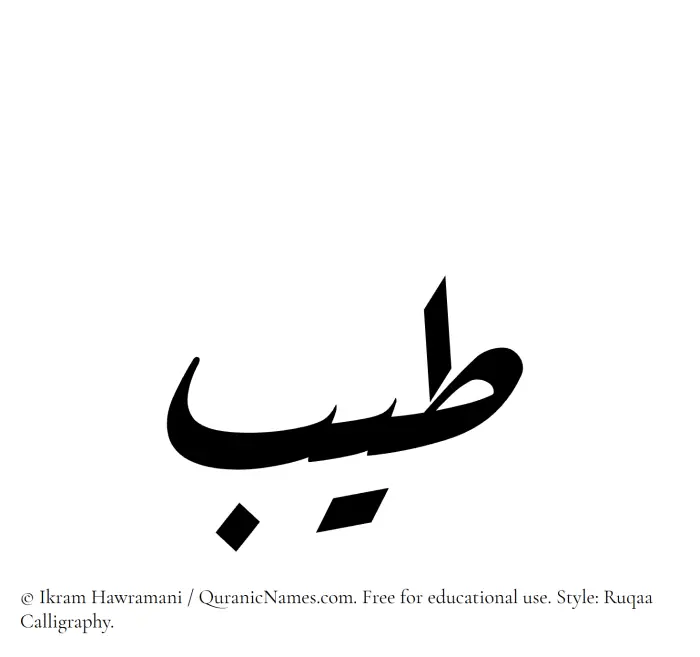The Muslim name Tayyib written in Ruqaa calligraphic script