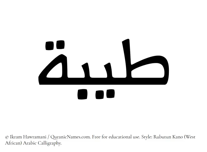 The Muslim name Tayyibah written in Rubutun Kano calligraphic script