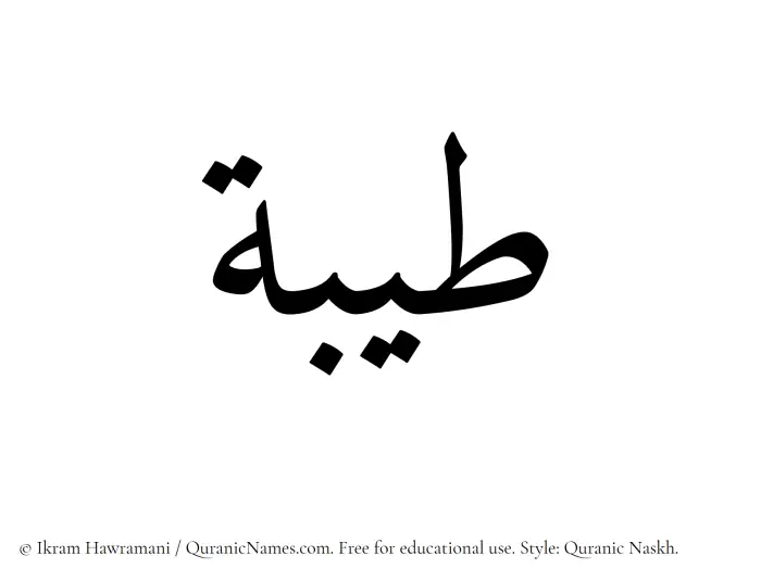 The Muslim name Tayyibah written in Quranic naskh script