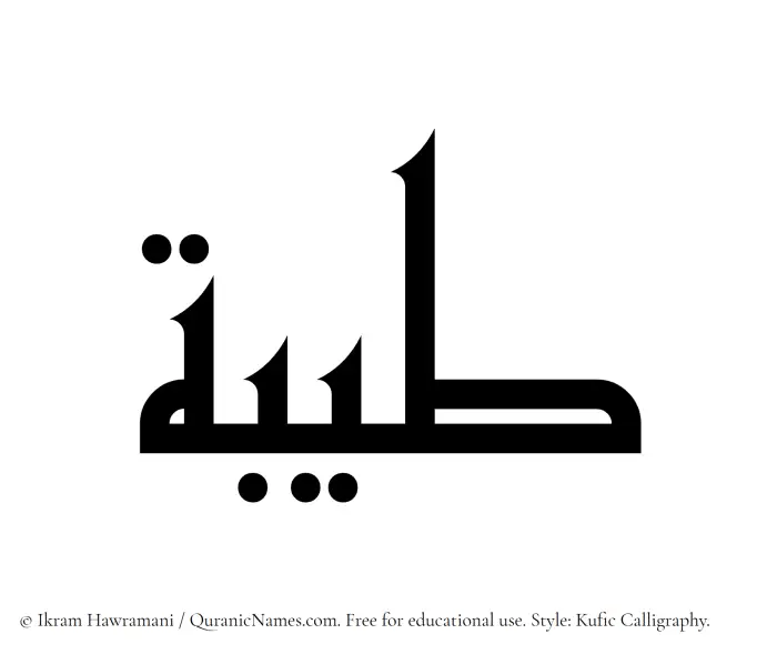 The Muslim name Tayyibah written in Kufi/Kufic calligraphic script