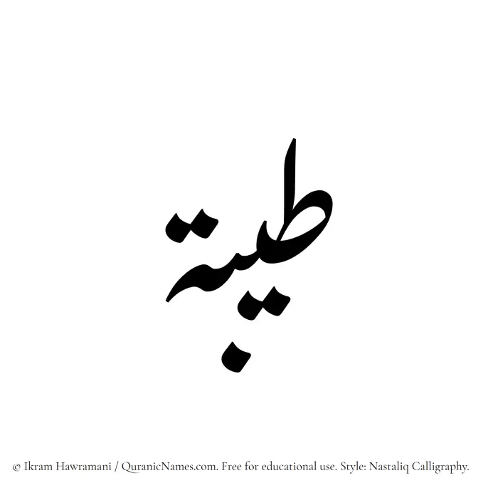 The Muslim name word Tayyibah written in Nastaliq calligraphic script