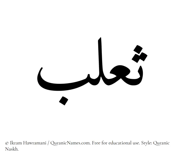 The Muslim name Thaalab written in Quranic naskh script