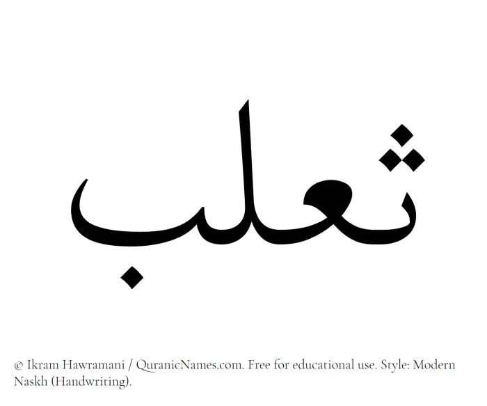 The Muslim name Thaalab written in naskh script