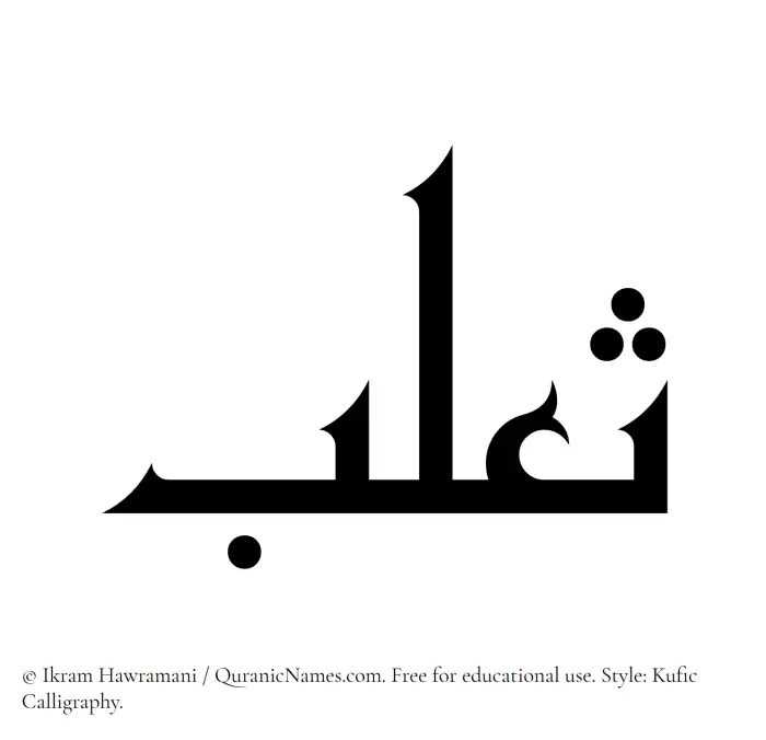 The Muslim name Thaalab written in Kufi/Kufic calligraphic script