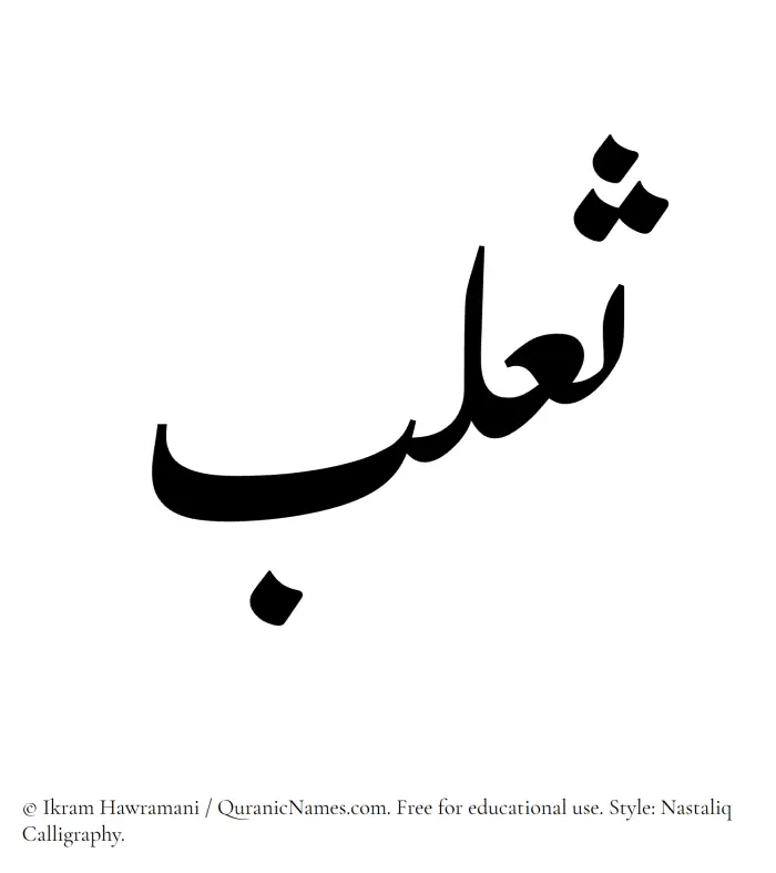 The Muslim name word Thaalab written in Nastaliq calligraphic script