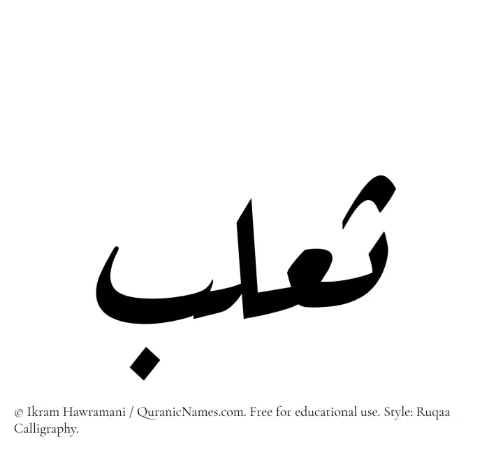 The Muslim name Thaalab written in Ruqaa calligraphic script