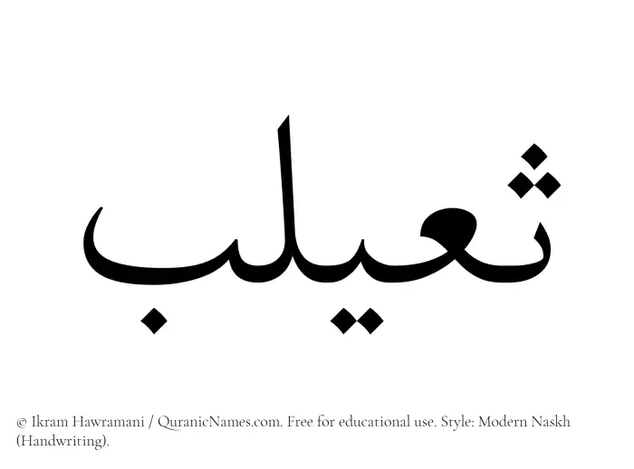 The Muslim name Thuailib written in naskh script