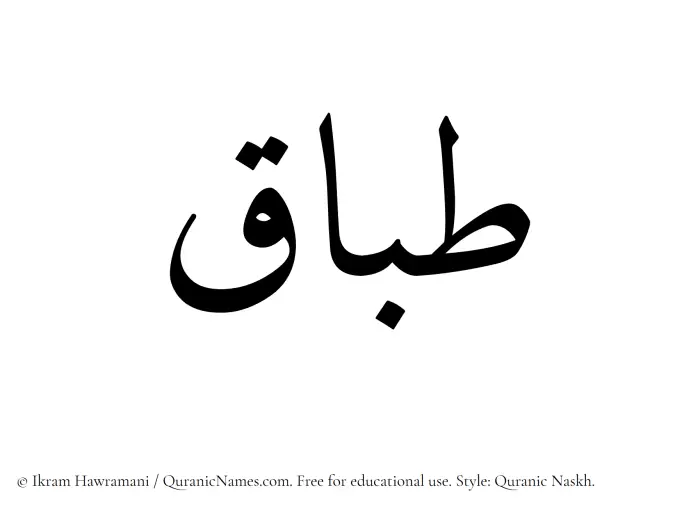 The Muslim name Tibaq written in Quranic naskh script