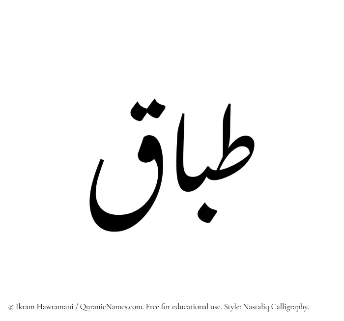 The Muslim name word Tibaq written in Nastaliq calligraphic script