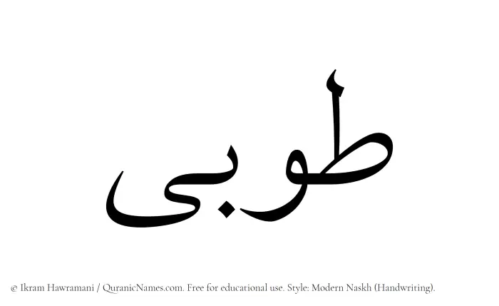 The Muslim name Tooba written in naskh script