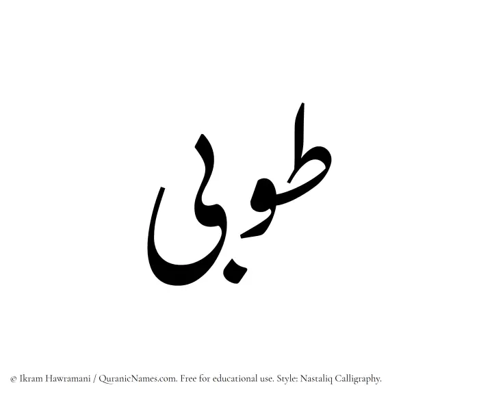 The Muslim name word Tooba written in Nastaliq calligraphic script