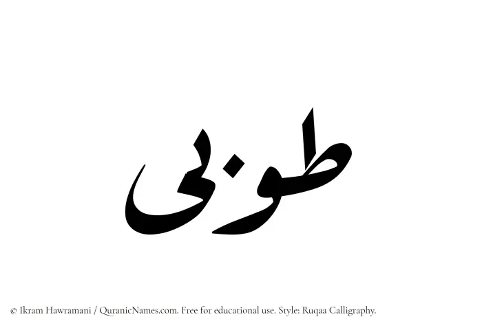 The Muslim name Tooba written in Ruqaa calligraphic script