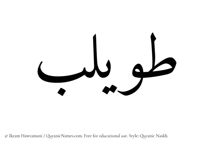 The Muslim name Tuwailib written in Quranic naskh script