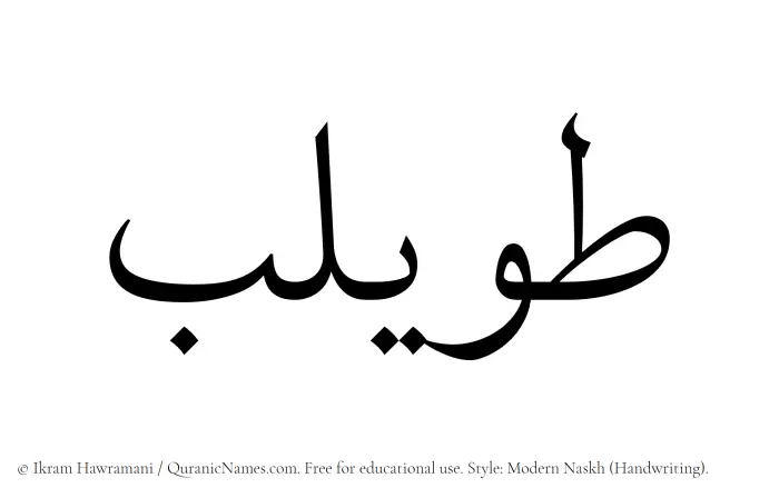 The Muslim name Tuwailib written in naskh script