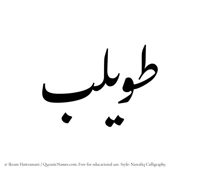The Muslim name word Tuwailib written in Nastaliq calligraphic script