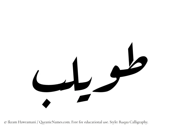 The Muslim name Tuwailib written in Ruqaa calligraphic script