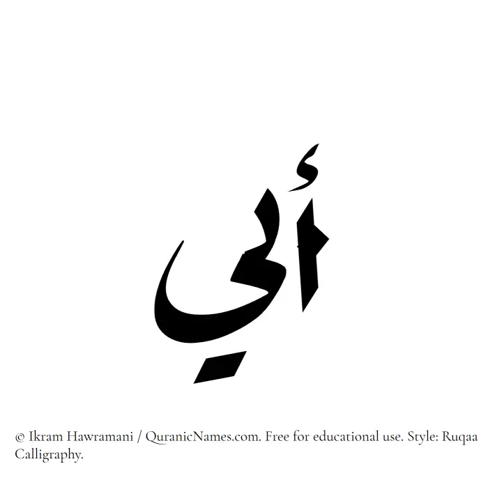 The Muslim name Ubai written in Ruqaa calligraphic script