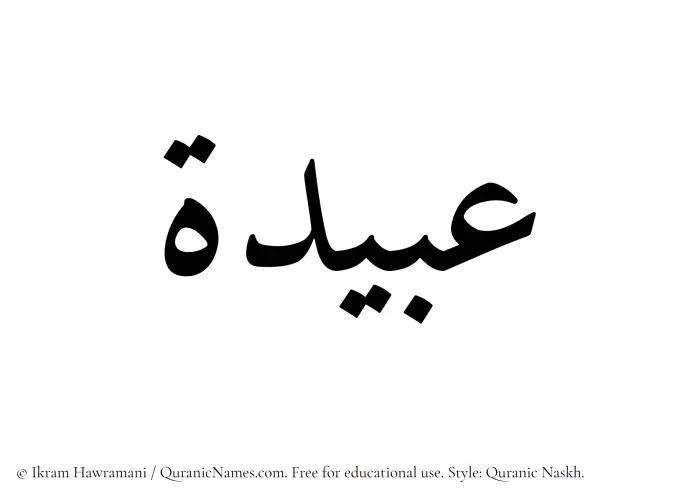 The Muslim name Ubaidah written in Quranic naskh script
