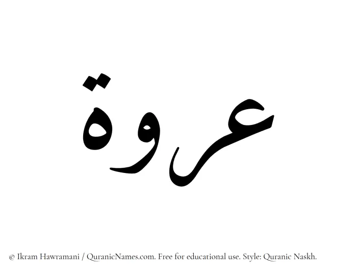 The Muslim name Urwah written in Quranic naskh script