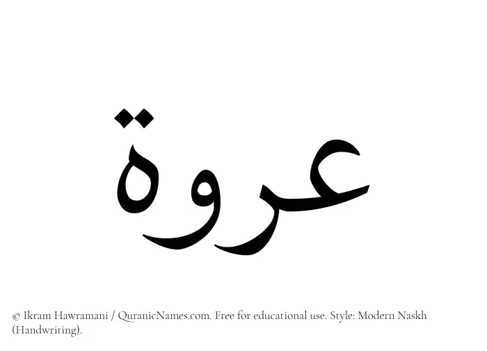 The Muslim name Urwah written in naskh script