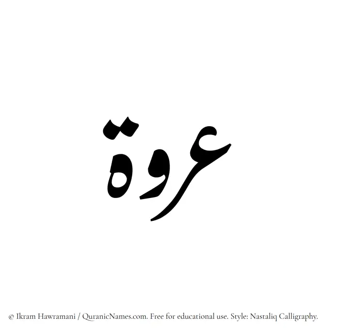 The Muslim name word Urwah written in Nastaliq calligraphic script