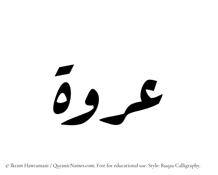 The Muslim name Urwah written in Ruqaa calligraphic script