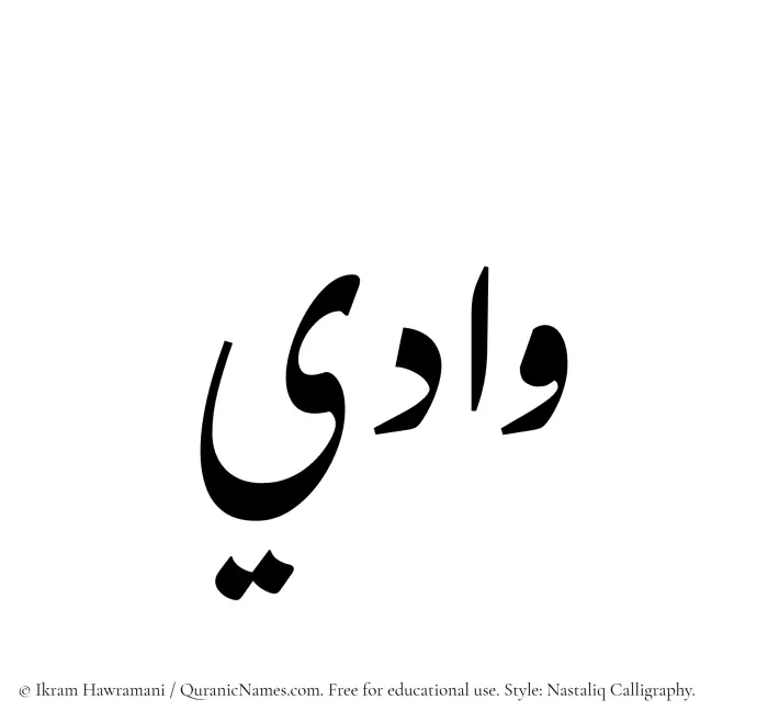 The Muslim name word Wadi written in Nastaliq calligraphic script