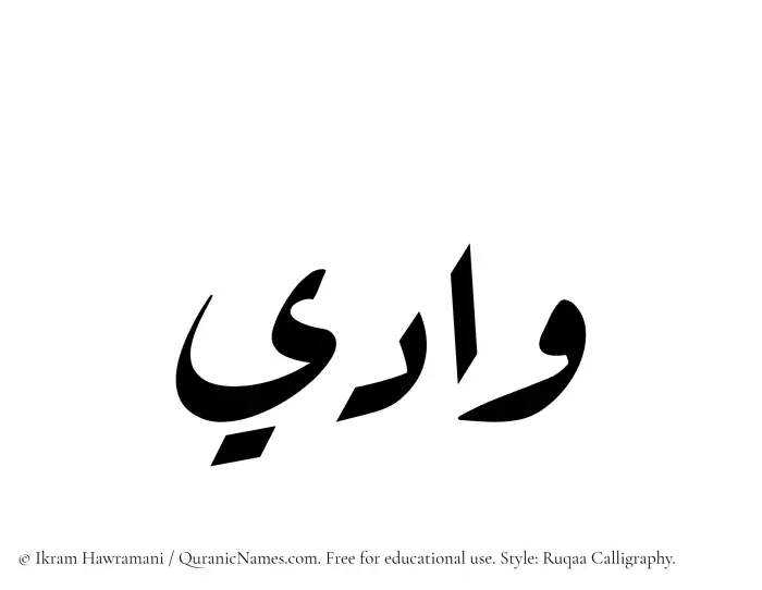 The Muslim name Wadi written in Ruqaa calligraphic script